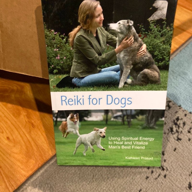 Reiki 2024 for dogs