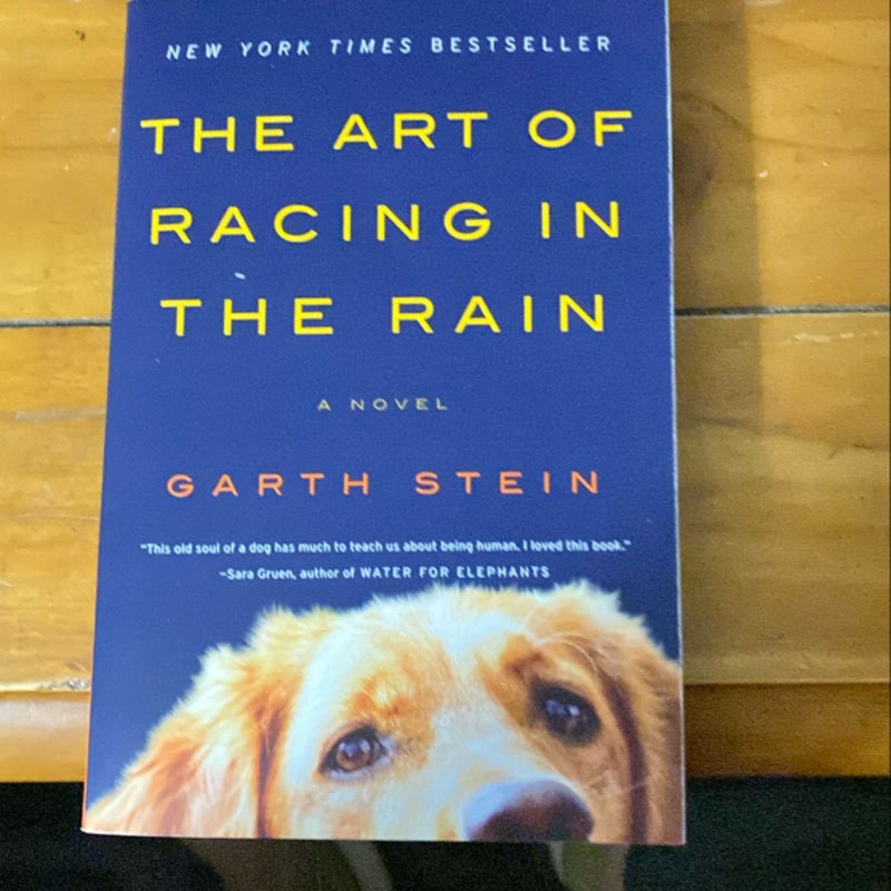 The Art of Racing In The rain 