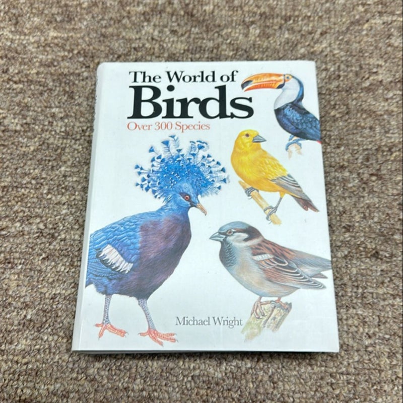 The World of Birds