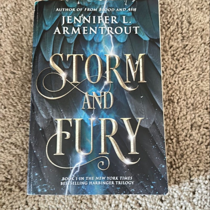 Storm and Fury