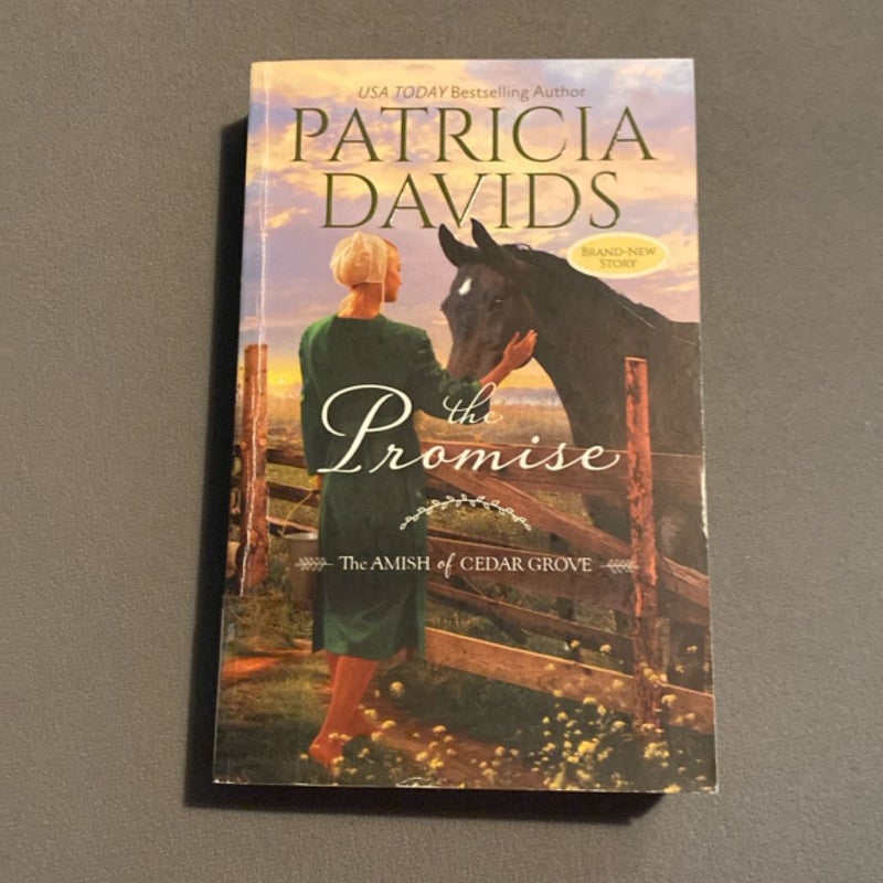 The Promise