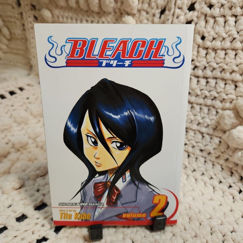 Bleach, Vol. 2