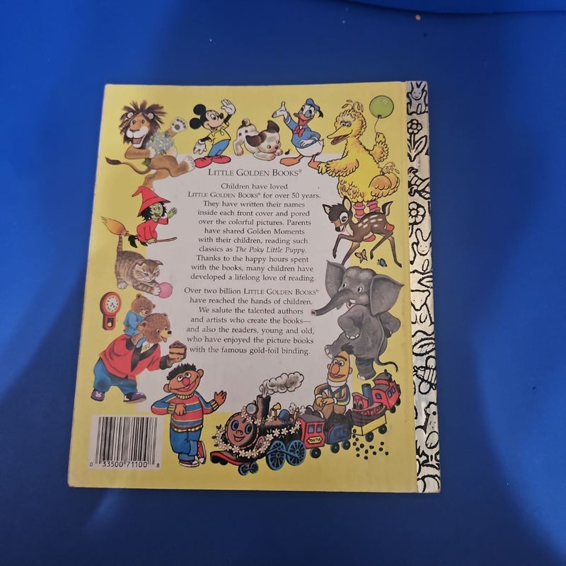 Ny Little Golden Book About GOD