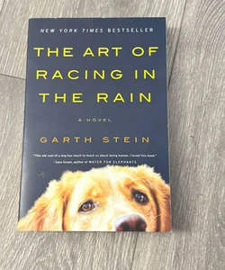 The Art of Racing in the Rain