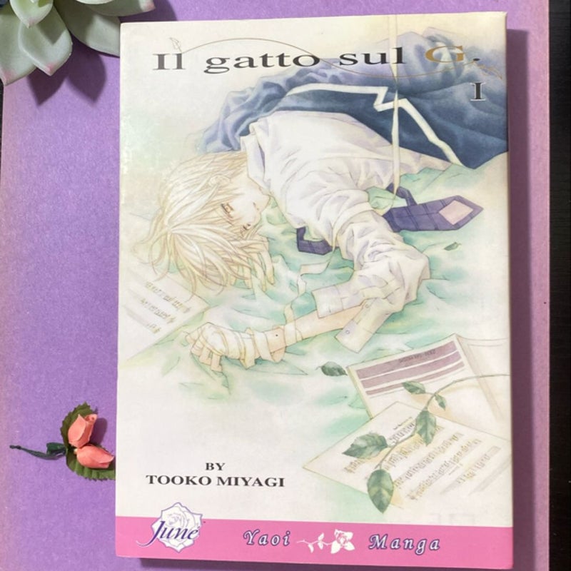 Il Gatto Sul G Volume 1