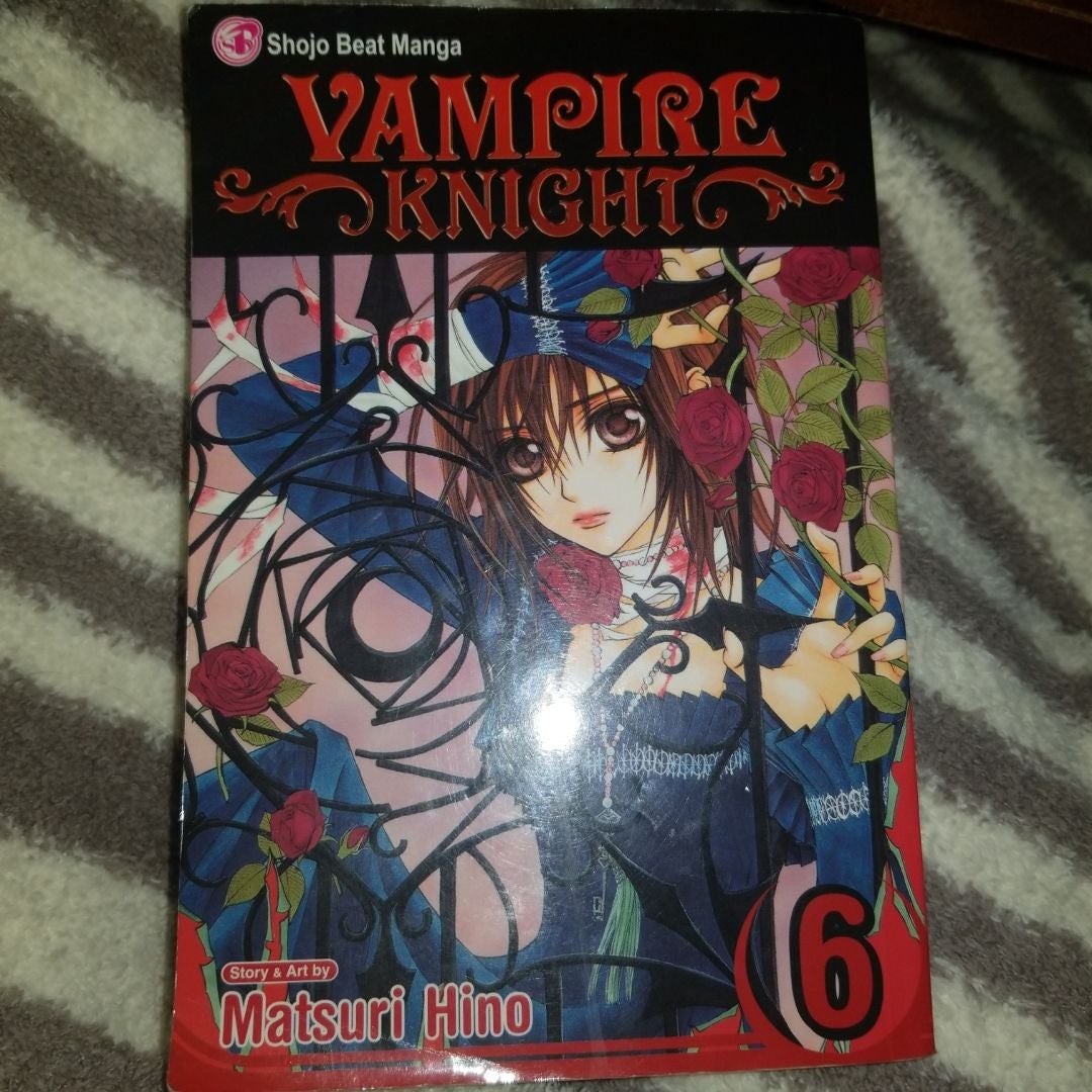 Vampire Knight, Vol. 6