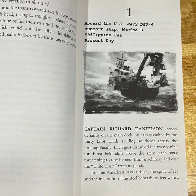 Meg w/ Shark bookmark 