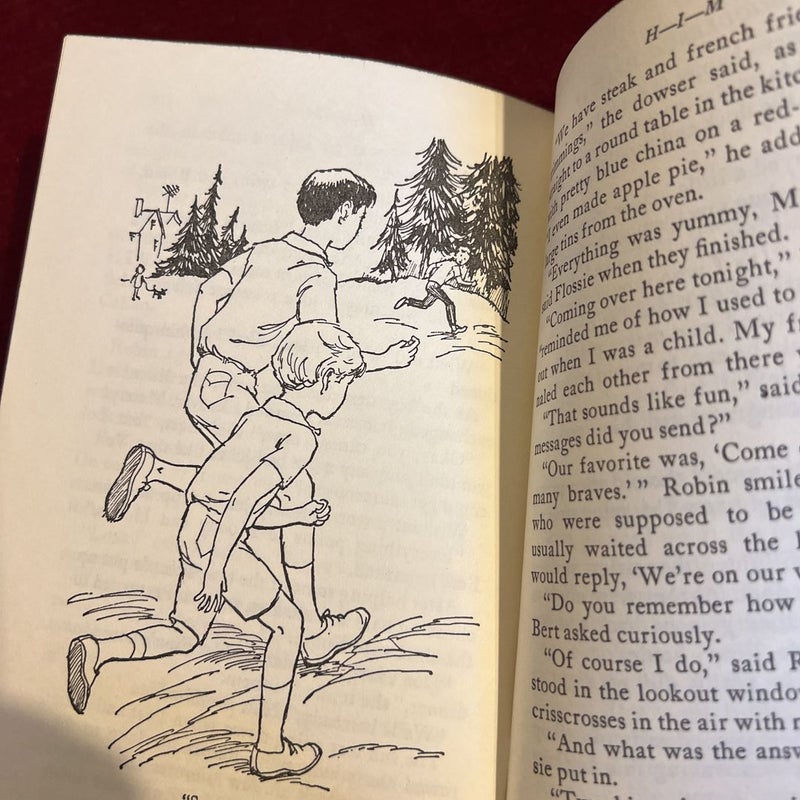 The Bobbsey Twins and the Doodlebug Mystery 