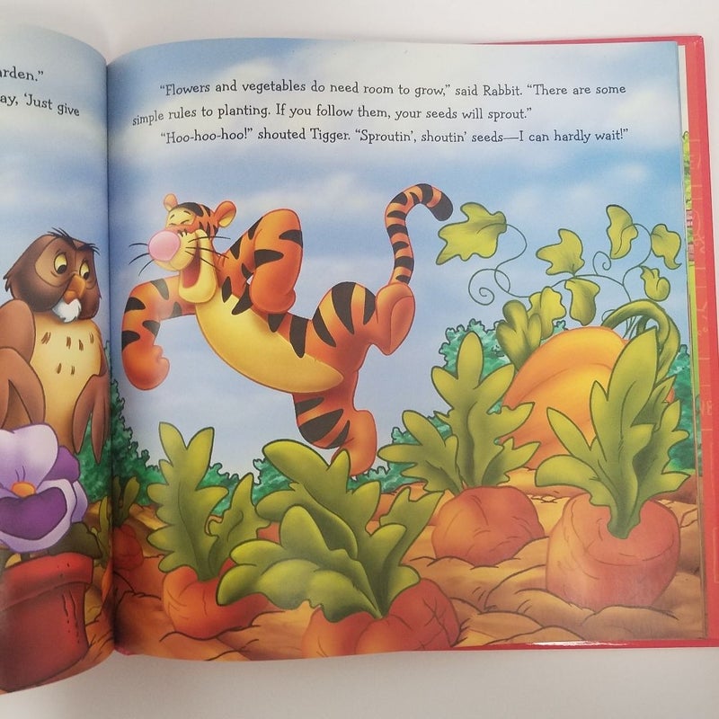 A Surprise Garden (Winnie the Pooh: It's Fun to Learn, book 1)