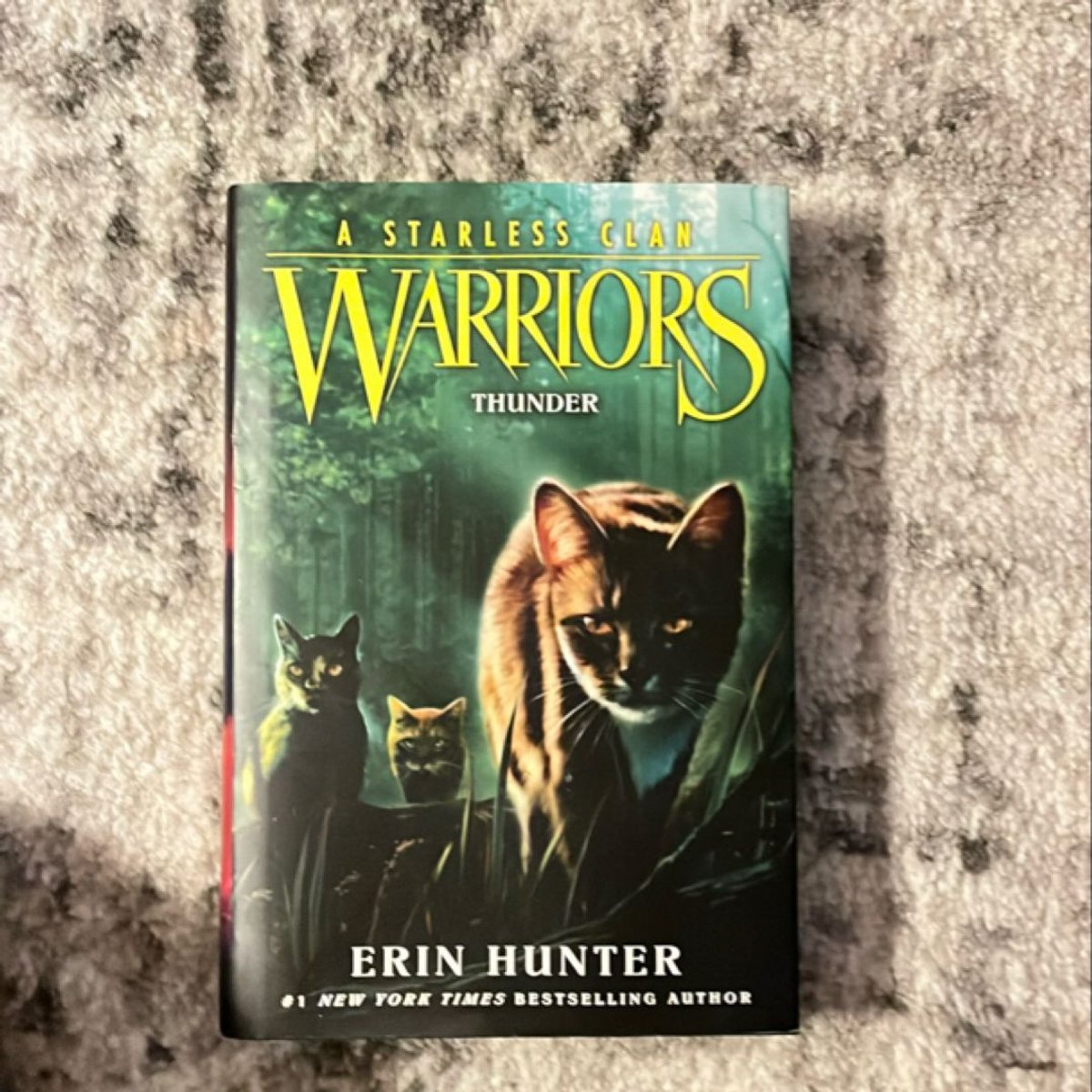 Warriors: a Starless Clan #4: Thunder by Erin Hunter
