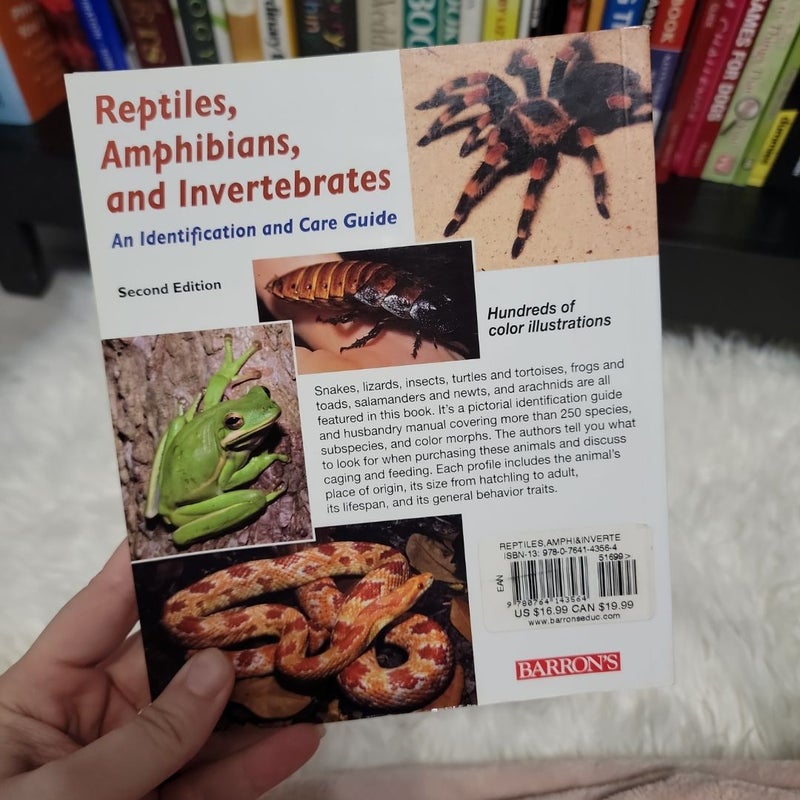 Reptiles, Amphibians. And Invertibrates