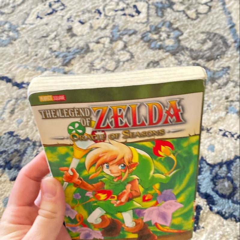 The Legend of Zelda, Vol. 4