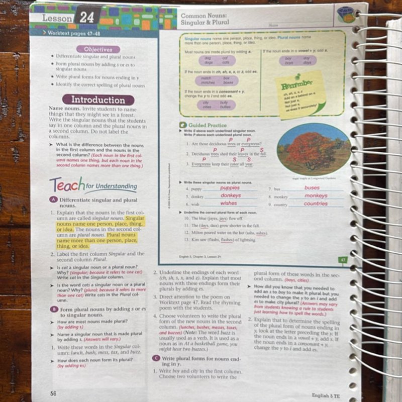 English 5 for Christian Schools