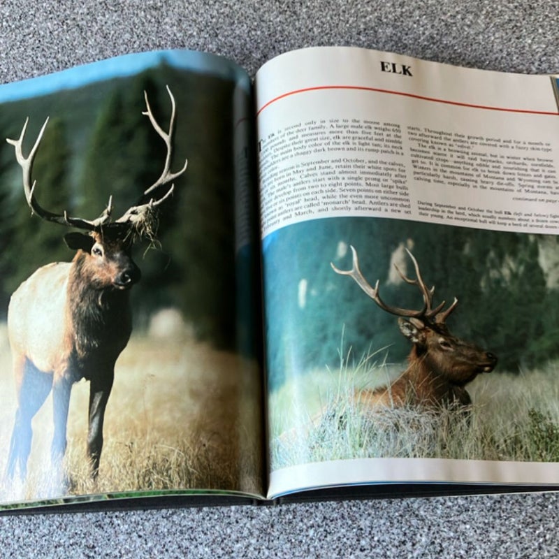 Wildlife of North America 