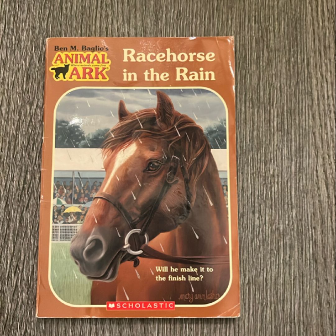 Racehorse in the Rain