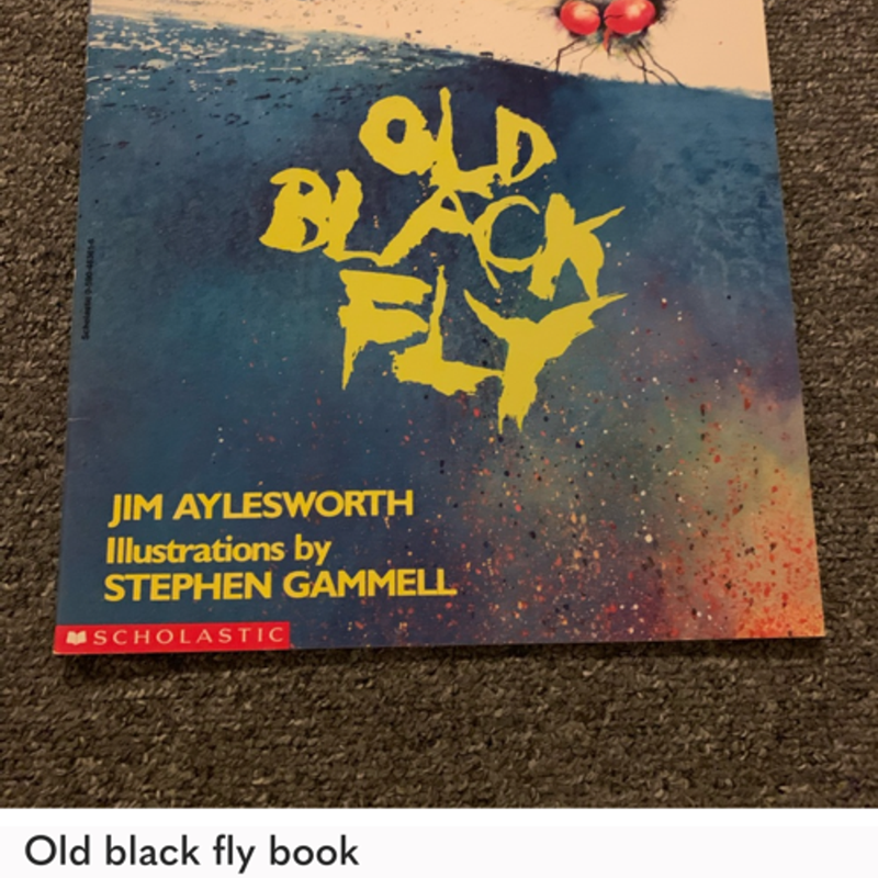 Old black fly book by Scholastic , Paperback