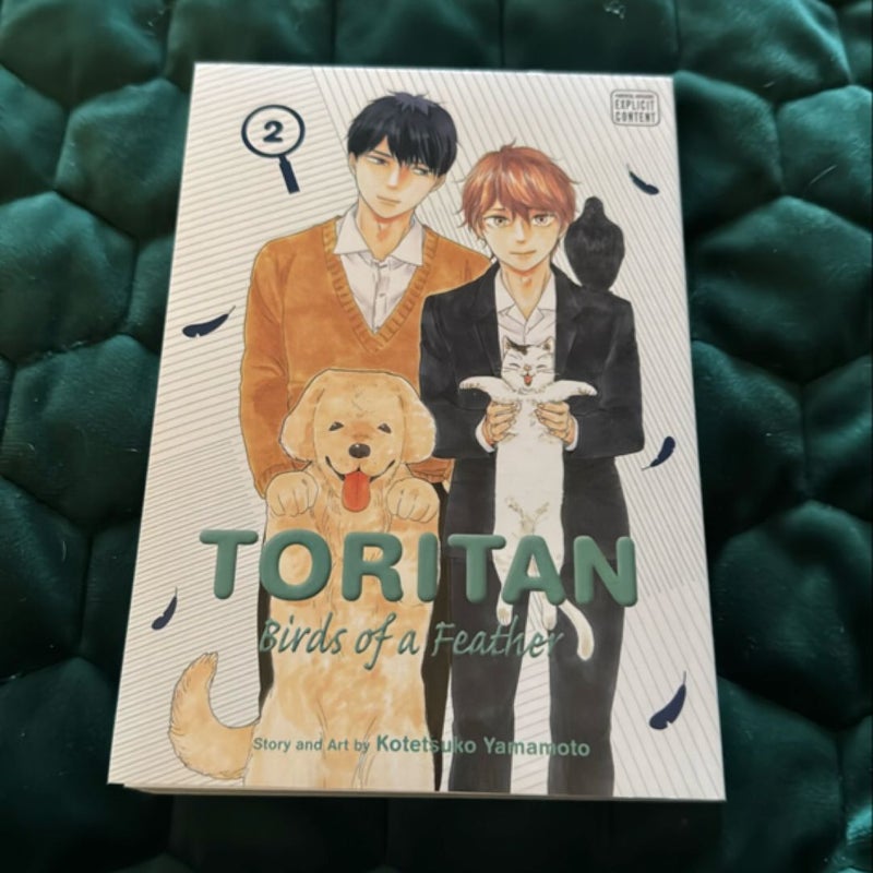 Toritan: Birds of a Feather, Vol. 2