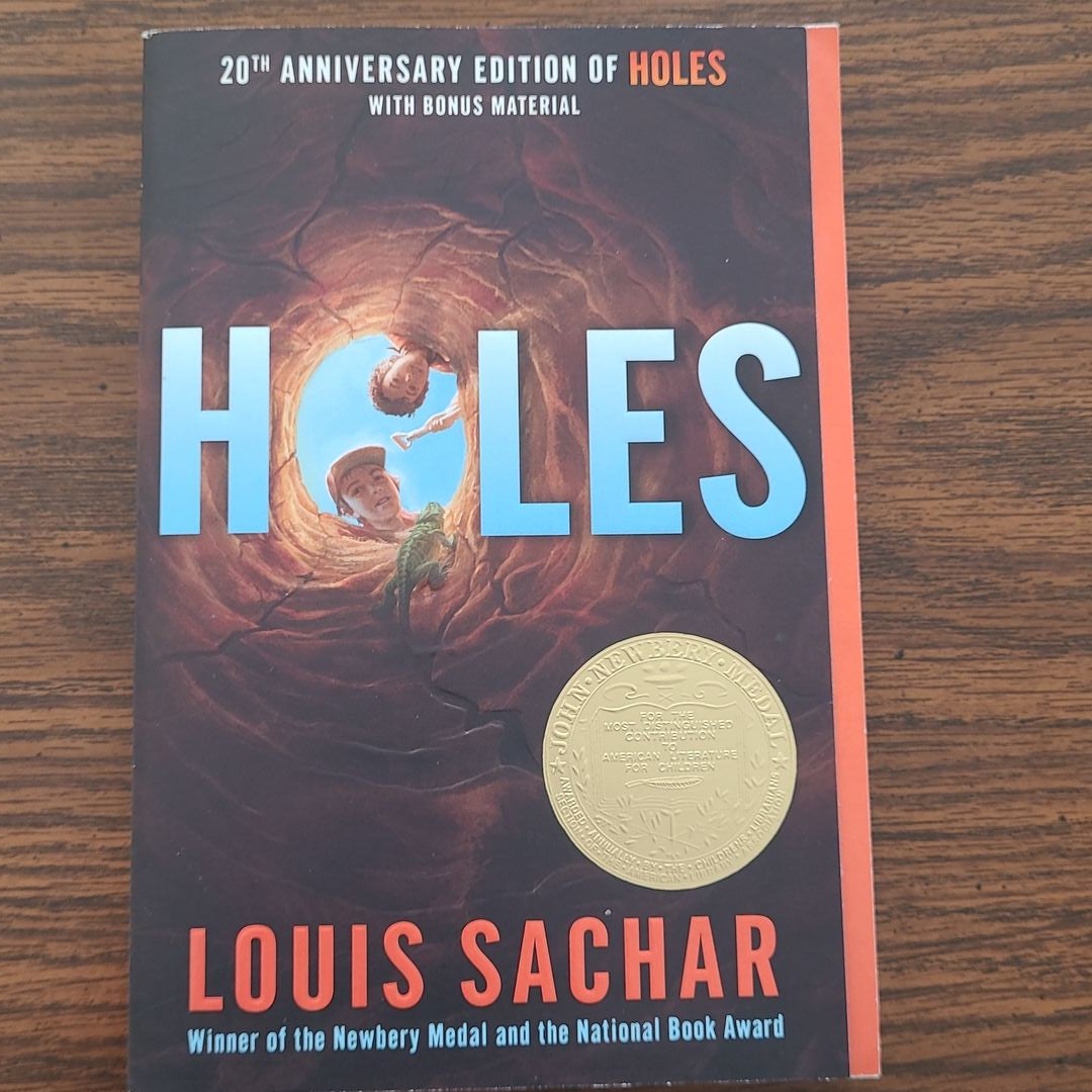 Small Steps by Louis Sachar (ebook)