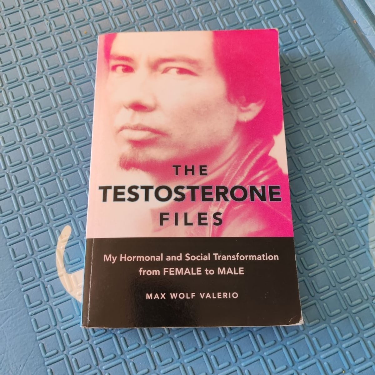The Testosterone Files by Max Wolf Valerio