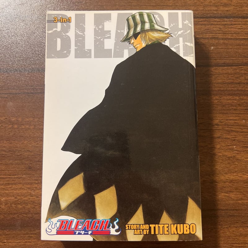 Bleach (3-In-1 Edition), Vol. 2