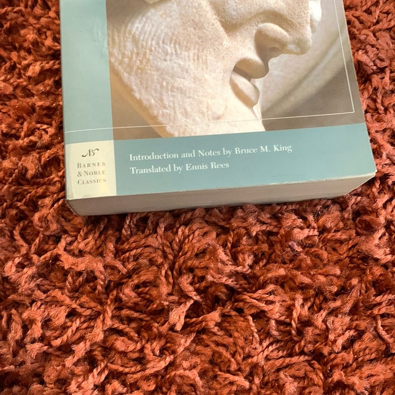 The Iliad