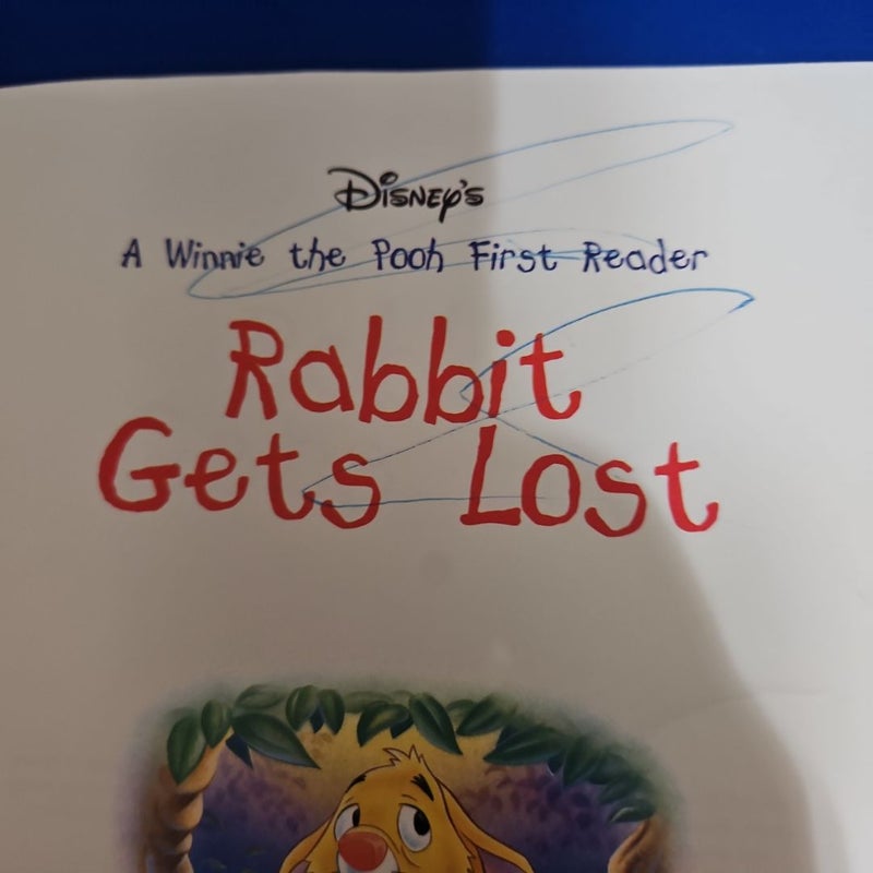 Rabbit Gets Lost