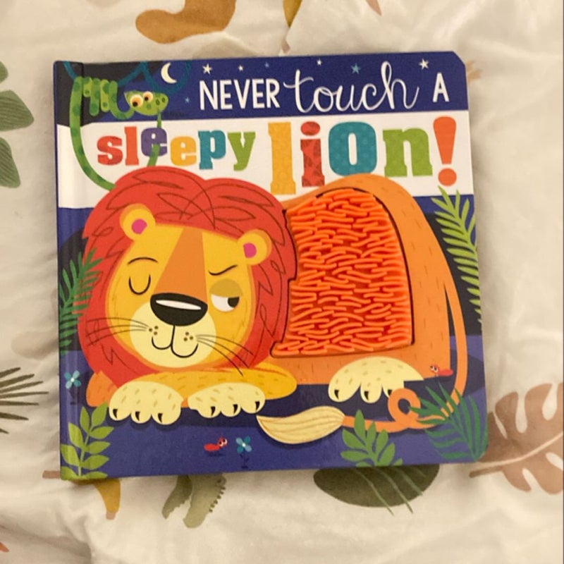 Never Touch a Sleepy Lion!