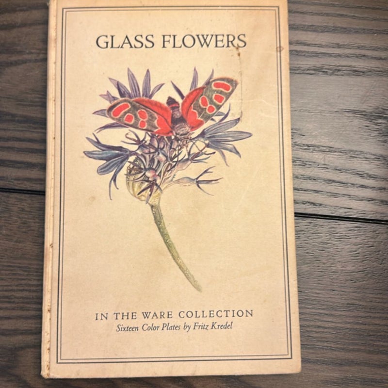 Glass Flowers