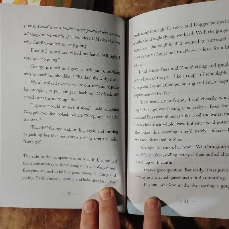 Nancy Drew Diaries