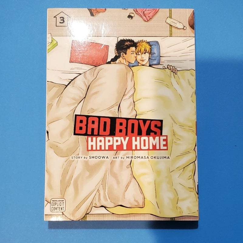 Bad Boys, Happy Home, Vol. 1-3