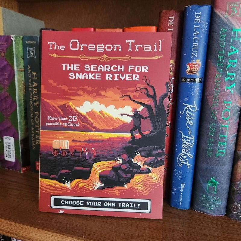 Danger at the Haunted Gate & The Search at Snake River Oregon Trail 2 Books