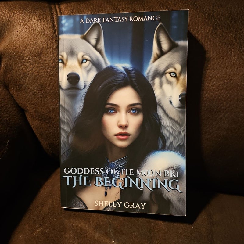 Goddess of the Moon Bk1