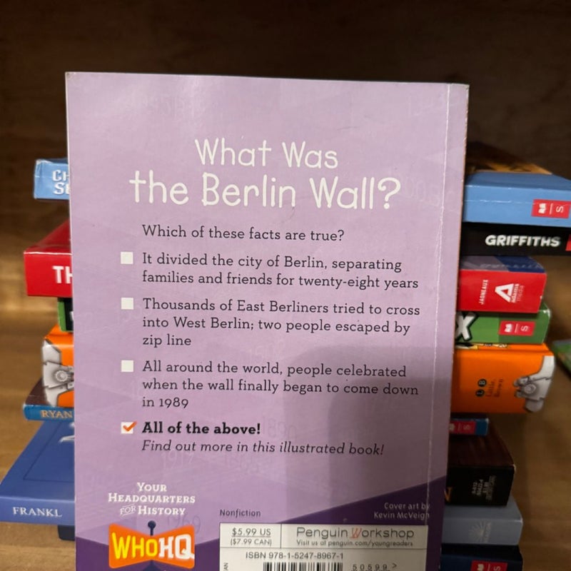 What Was the Berlin Wall?