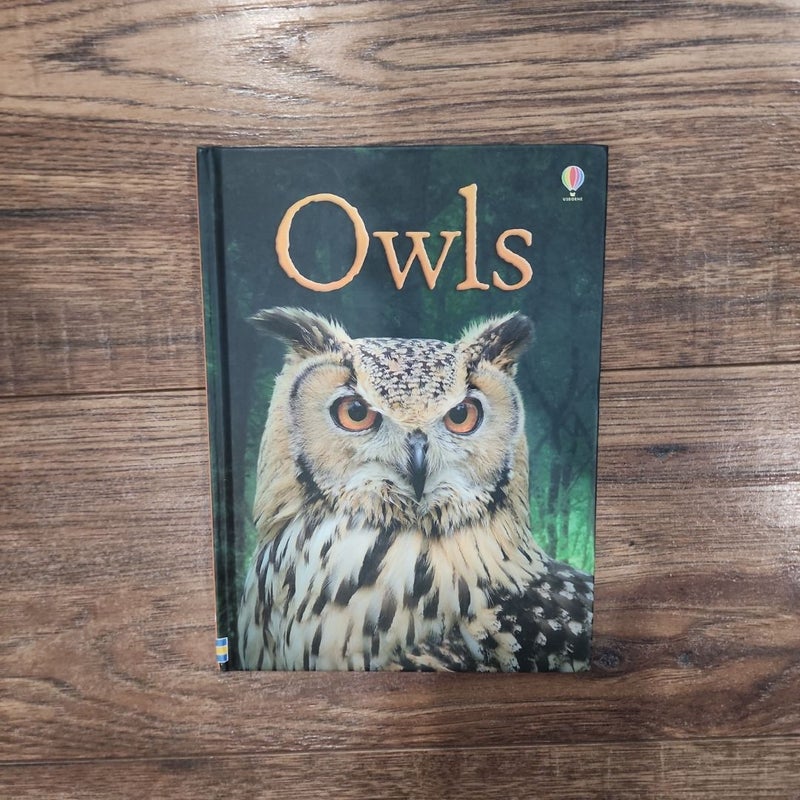 Owls