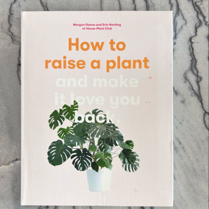 How to Raise a Plant