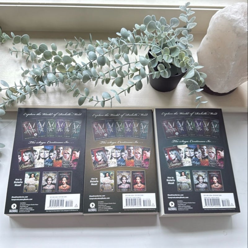Vampire Academy Box Set 1-6