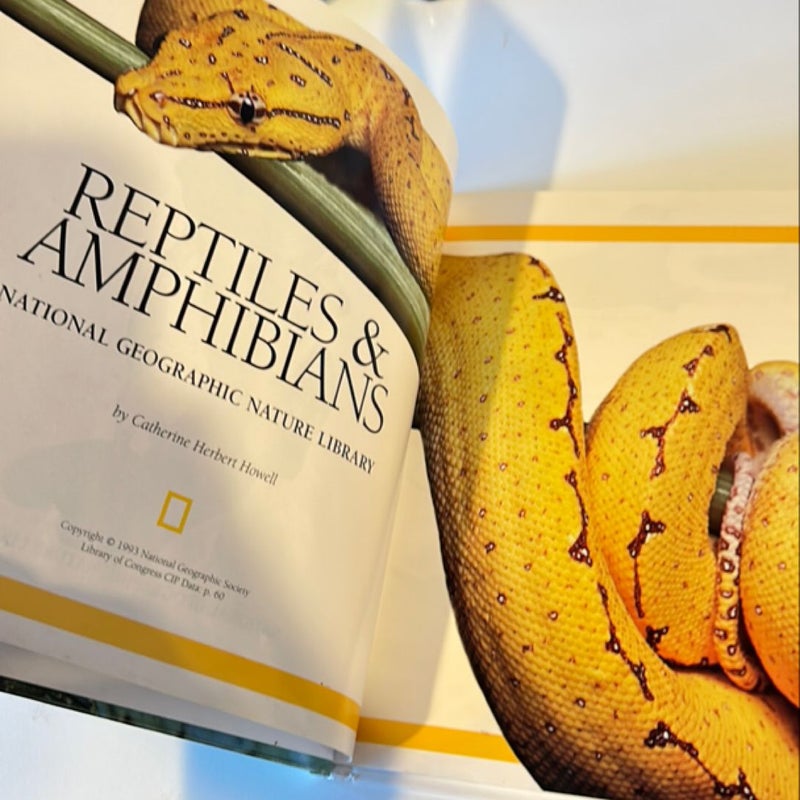 Reptiles and Amphibians