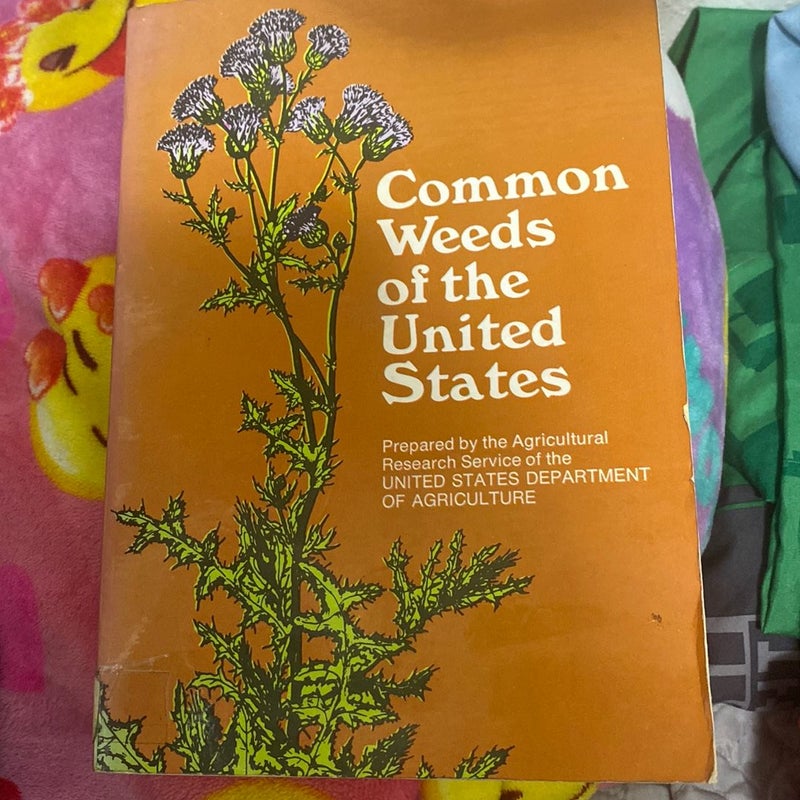 Common weeds of the United States 