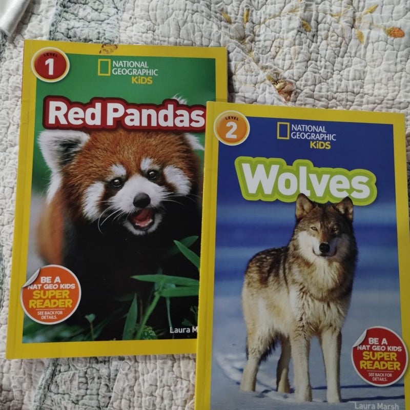 Red Pandas/Wolves