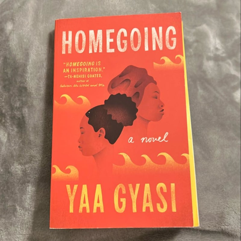 Homegoing