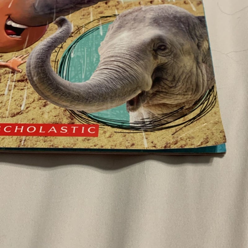 What If You Had an Animal Nose?