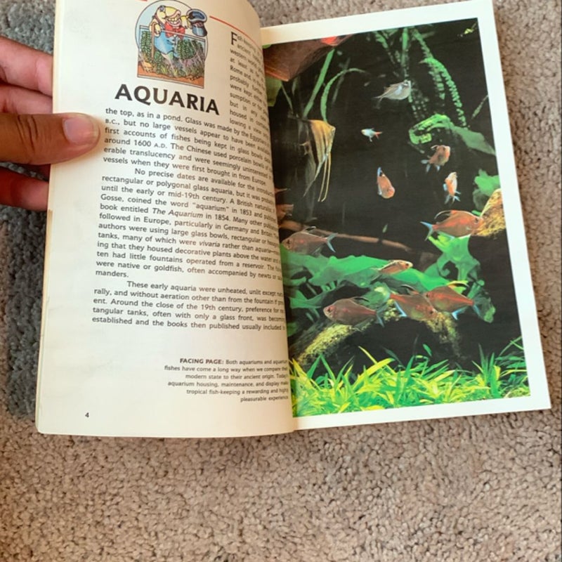 A Step-by-Step Book about Setting up Freshwater Aquarium