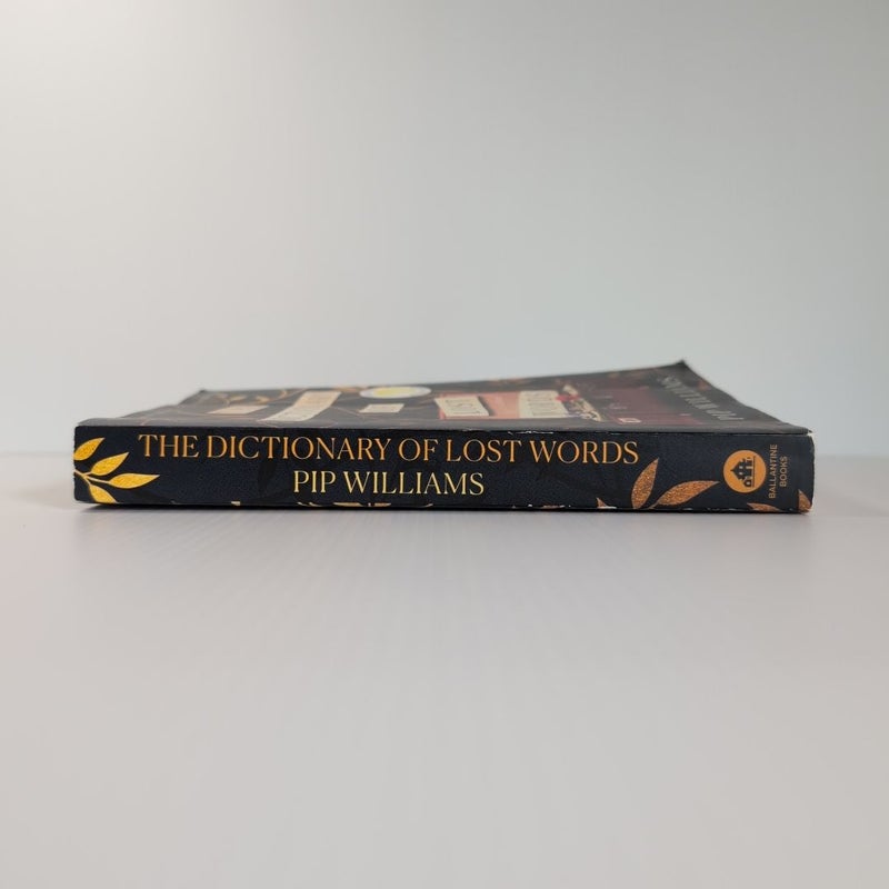 The Dictionary of Lost Words