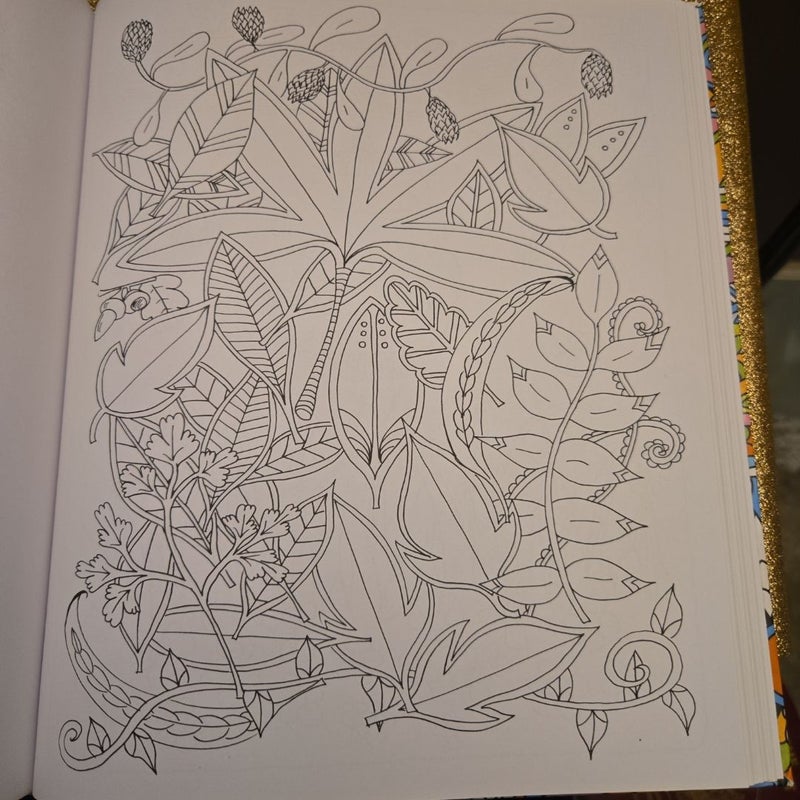 The Calm Coloring Book