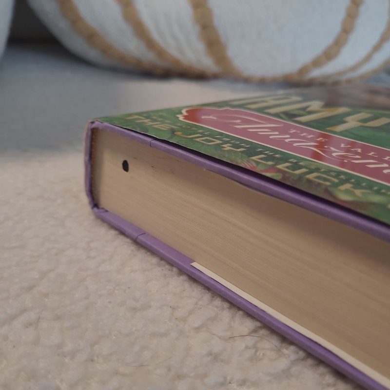 The Valley of Amazement