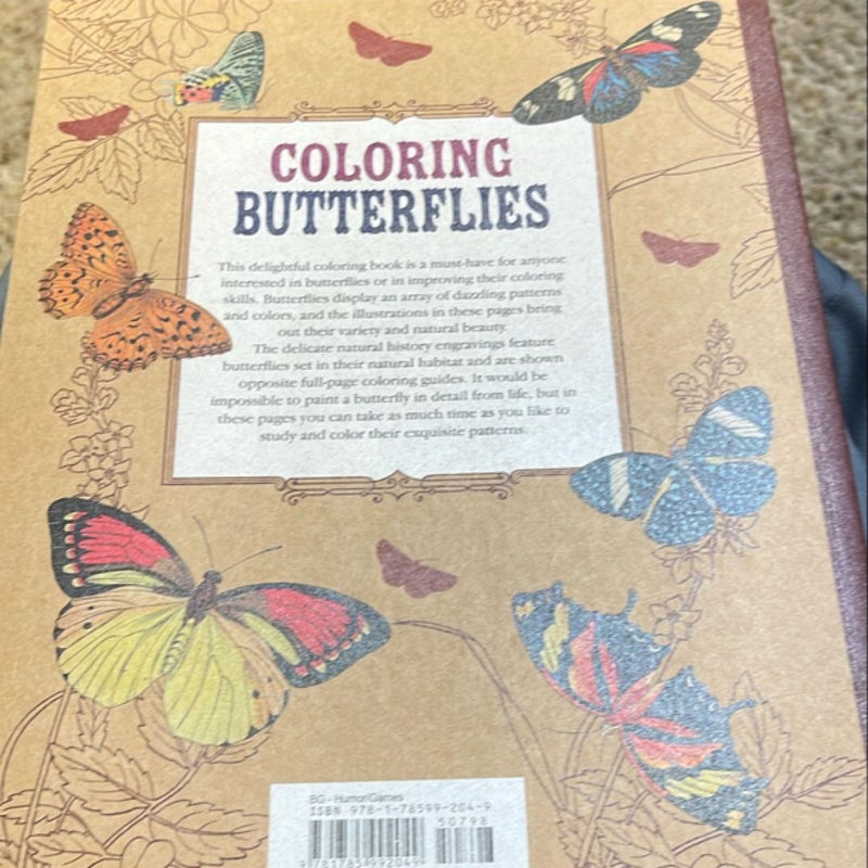 Coloring Butterflies 