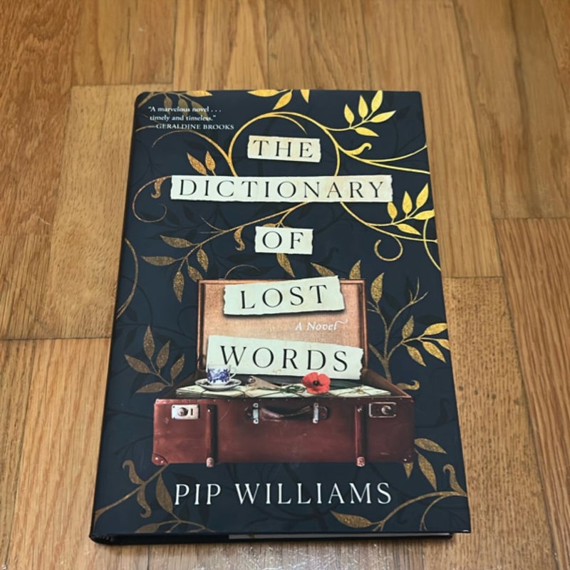 The Dictionary of Lost Words