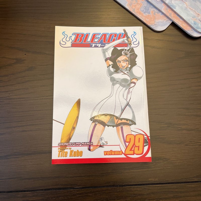 Bleach, Vol. 29