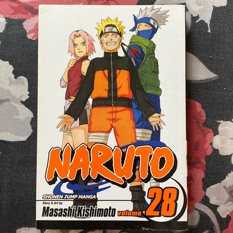 Naruto, Vol. 28