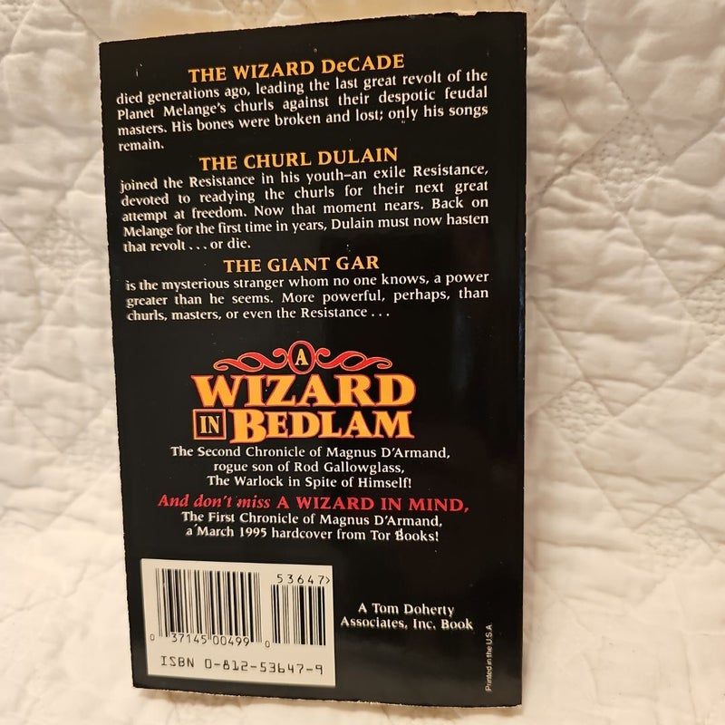 A Wizard in Bedlam